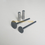 Mitsubishi S3L S3L2 S4L S4L2 Engine Valve Kit