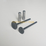 Mitsubishi S3L S3L2 S4L S4L2 Engine Valve Kit