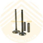 Yanmar Komatsu 4TNV106 4TNV106T Engine Valve kit